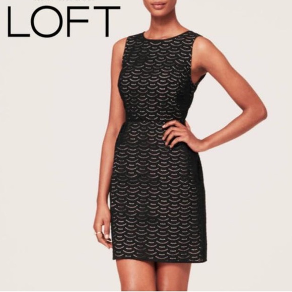 LOFT Dresses & Skirts - 🎉*HOST PICK*🎉LOFT Black Cotton Eyelet Lace Overlay Dress Size 14